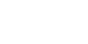 Private Hidden DNS & IP Address