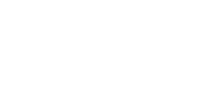 LiteSpeed Technology