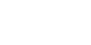 SSD Web Space